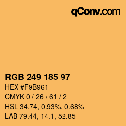 Color code: RGB 249 185 97 | qconv.com