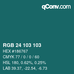 Farbcode: RGB 24 103 103 | qconv.com