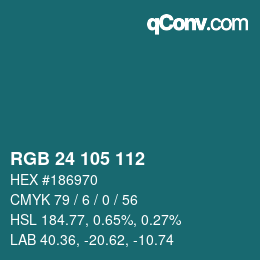 カラーコード: RGB 24 105 112 | qconv.com