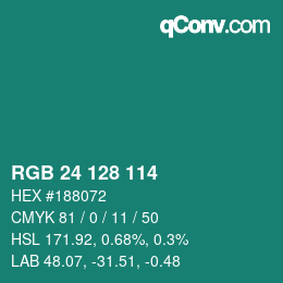 Color code: RGB 24 128 114 | qconv.com