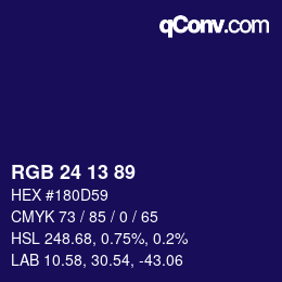 颜色代码: RGB 24 13 89 | qconv.com