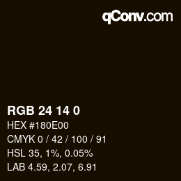 Color code: RGB 24 14 0 | qconv.com