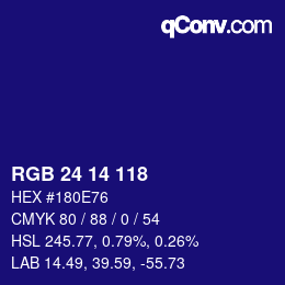 Color code: RGB 24 14 118 | qconv.com