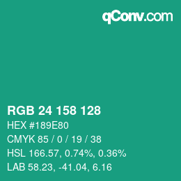 Color code: RGB 24 158 128 | qconv.com