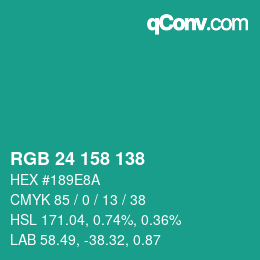 Color code: RGB 24 158 138 | qconv.com