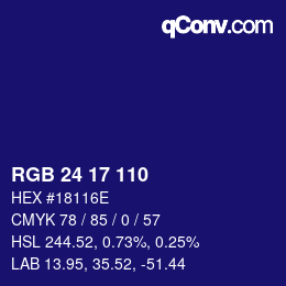 Color code: RGB 24 17 110 | qconv.com