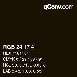 Color code: RGB 24 17 4 | qconv.com