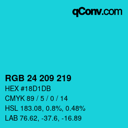 Color code: RGB 24 209 219 | qconv.com