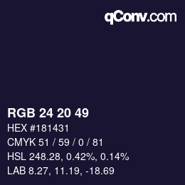 Color code: RGB 24 20 49 | qconv.com