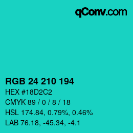 Color code: RGB 24 210 194 | qconv.com