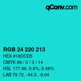 Color code: RGB 24 220 213 | qconv.com