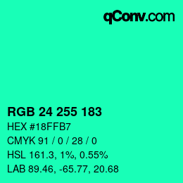 Color code: RGB 24 255 183 | qconv.com