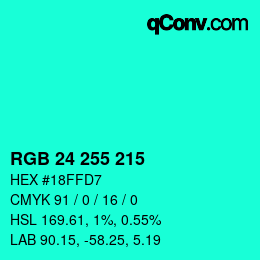Color code: RGB 24 255 215 | qconv.com