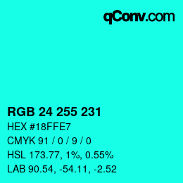 Color code: RGB 24 255 231 | qconv.com
