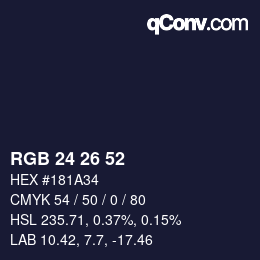 Color code: RGB 24 26 52 | qconv.com