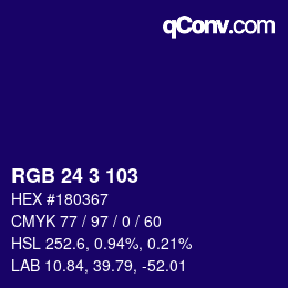 Color code: RGB 24 3 103 | qconv.com