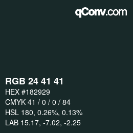 Color code: RGB 24 41 41 | qconv.com