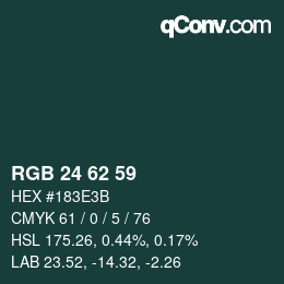 Color code: RGB 24 62 59 | qconv.com
