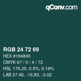 Color code: RGB 24 72 69 | qconv.com