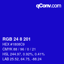 Color code: RGB 24 8 201 | qconv.com