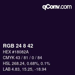 Color code: RGB 24 8 42 | qconv.com