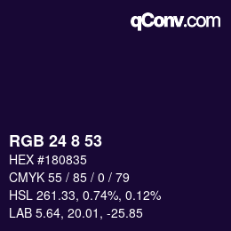 Color code: RGB 24 8 53 | qconv.com