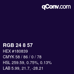 Color code: RGB 24 8 57 | qconv.com