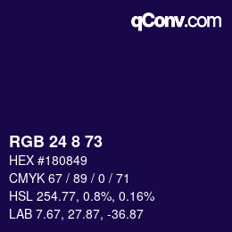 Color code: RGB 24 8 73 | qconv.com