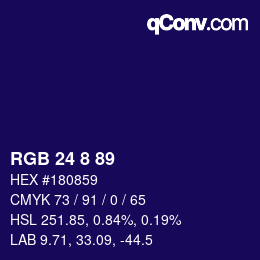 Color code: RGB 24 8 89 | qconv.com