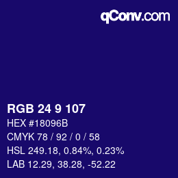 Color code: RGB 24 9 107 | qconv.com