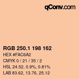 カラーコード: RGB 250.1 198 162 | qconv.com