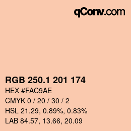 カラーコード: RGB 250.1 201 174 | qconv.com