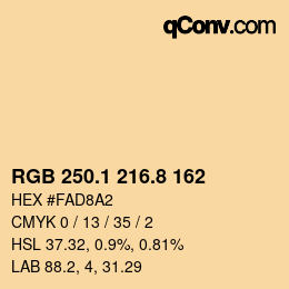Color code: RGB 250.1 216.8 162 | qconv.com
