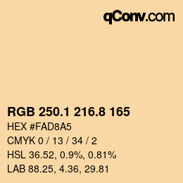 Color code: RGB 250.1 216.8 165 | qconv.com
