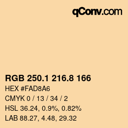 Color code: RGB 250.1 216.8 166 | qconv.com