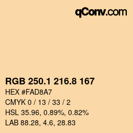 Color code: RGB 250.1 216.8 167 | qconv.com