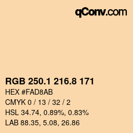 Color code: RGB 250.1 216.8 171 | qconv.com