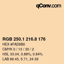 Color code: RGB 250.1 216.8 176 | qconv.com