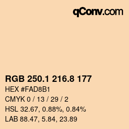 Color code: RGB 250.1 216.8 177 | qconv.com