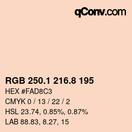 Color code: RGB 250.1 216.8 195 | qconv.com