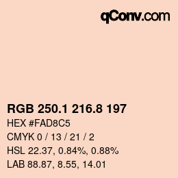 Color code: RGB 250.1 216.8 197 | qconv.com