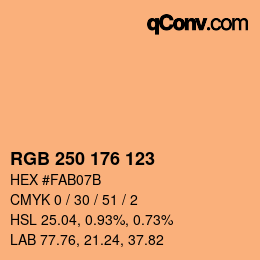 Color code: RGB 250 176 123 | qconv.com