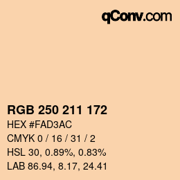 Color code: RGB 250 211 172 | qconv.com