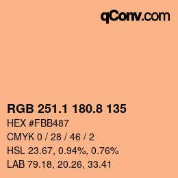 Color code: RGB 251.1 180.8 135 | qconv.com