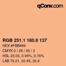 Color code: RGB 251.1 180.8 137 | qconv.com