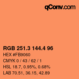 カラーコード: RGB 251.3 144.4 96 | qconv.com
