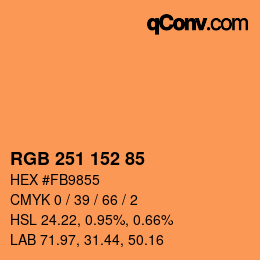 Color code: RGB 251 152 85 | qconv.com