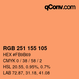 Color code: RGB 251 155 105 | qconv.com