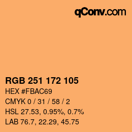 Color code: RGB 251 172 105 | qconv.com