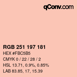 Color code: RGB 251 197 181 | qconv.com